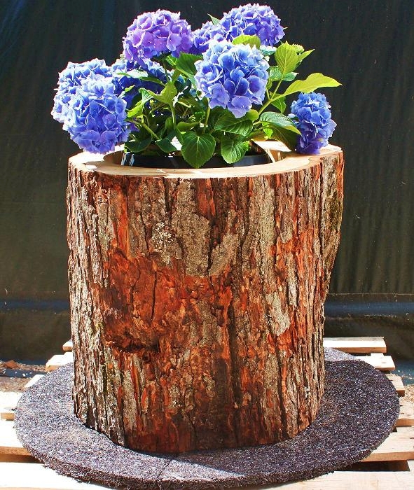 THE LOG PLANTER — product photo 2